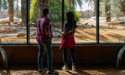 Arabia's Wildlife Center (1)