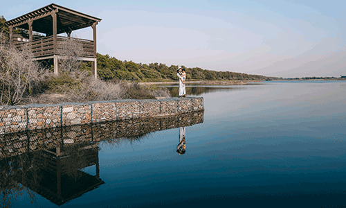 Wasit Nature Reserve (2)