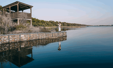 Wasit Nature Reserve (2)