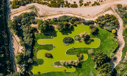 Wasit Nature Reserve 2 (1)