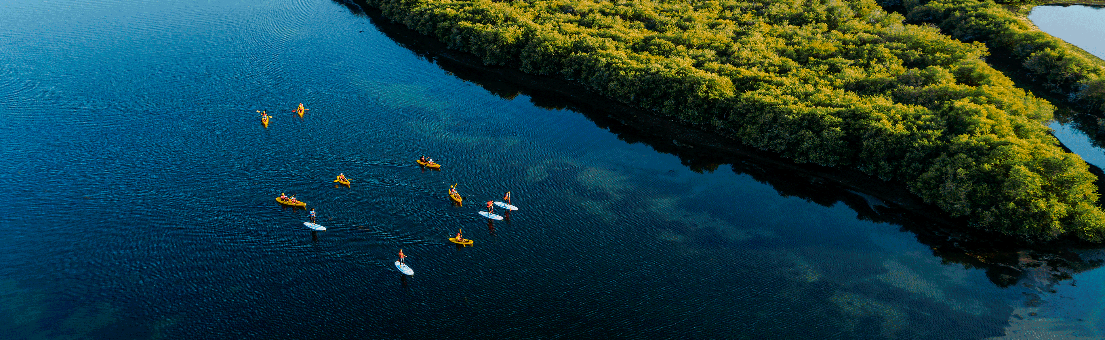 Resource Details Blog