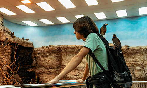 Arabia's Wildlife Center 2