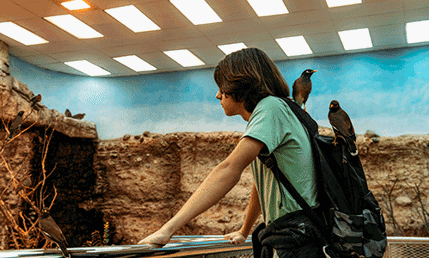 Arabia's Wildlife Center 2