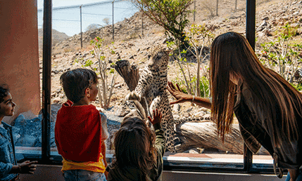 Al Hefaiyah Mountain Conservation Centre 1