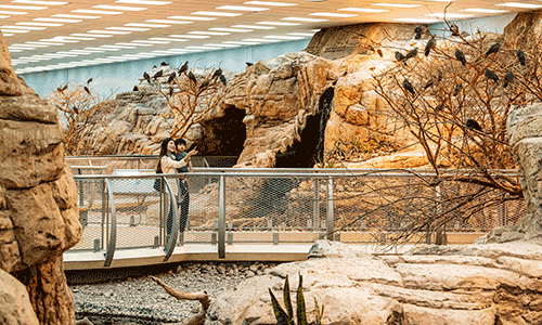 Arabia's Wildlife Center 1