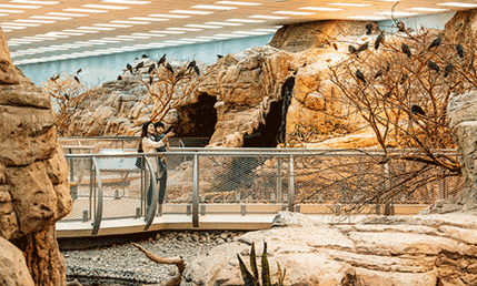 Arabia's Wildlife Center 1